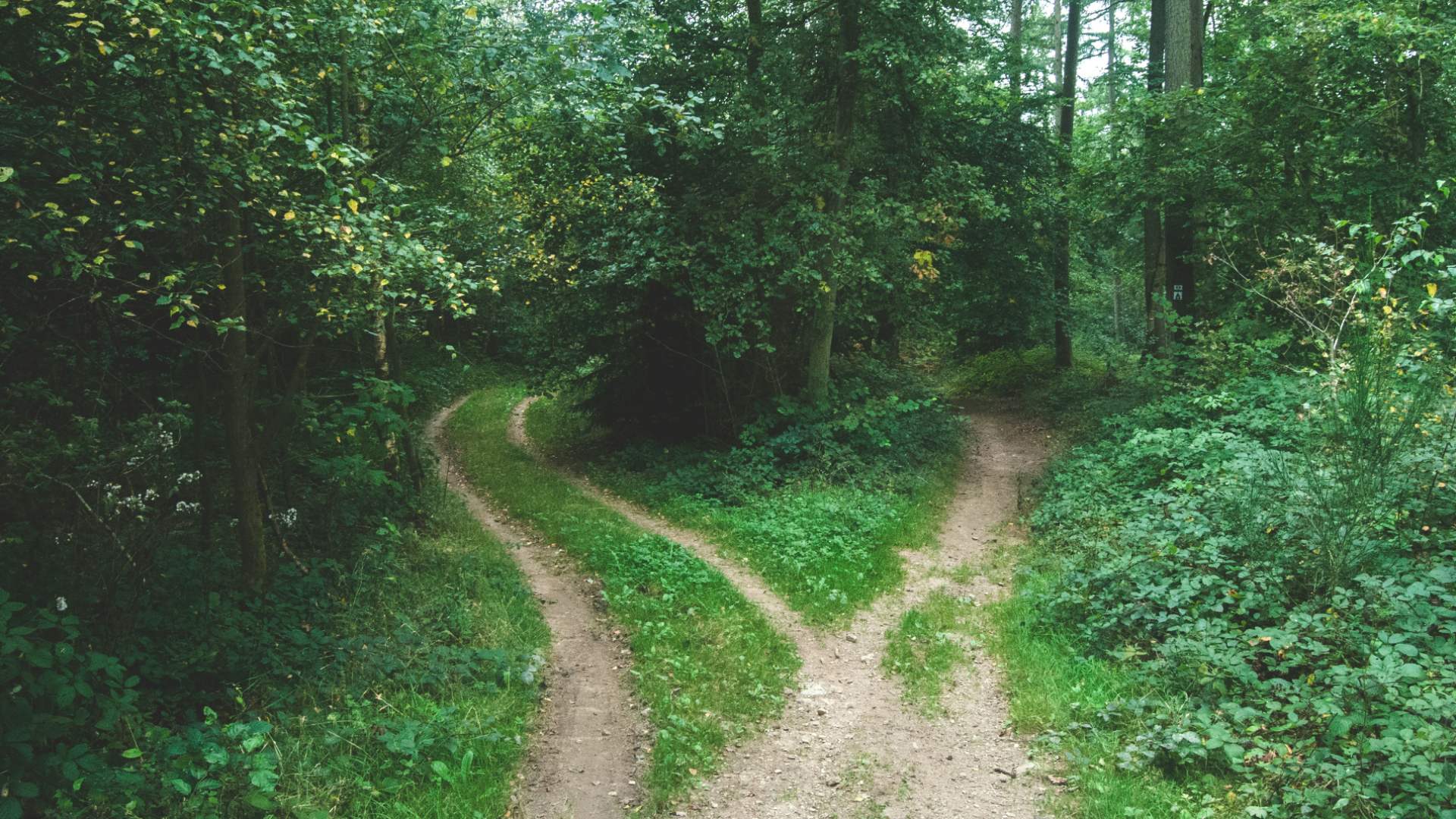 Leaving Medicare Advantage for 2027? Medigap Might Say No
